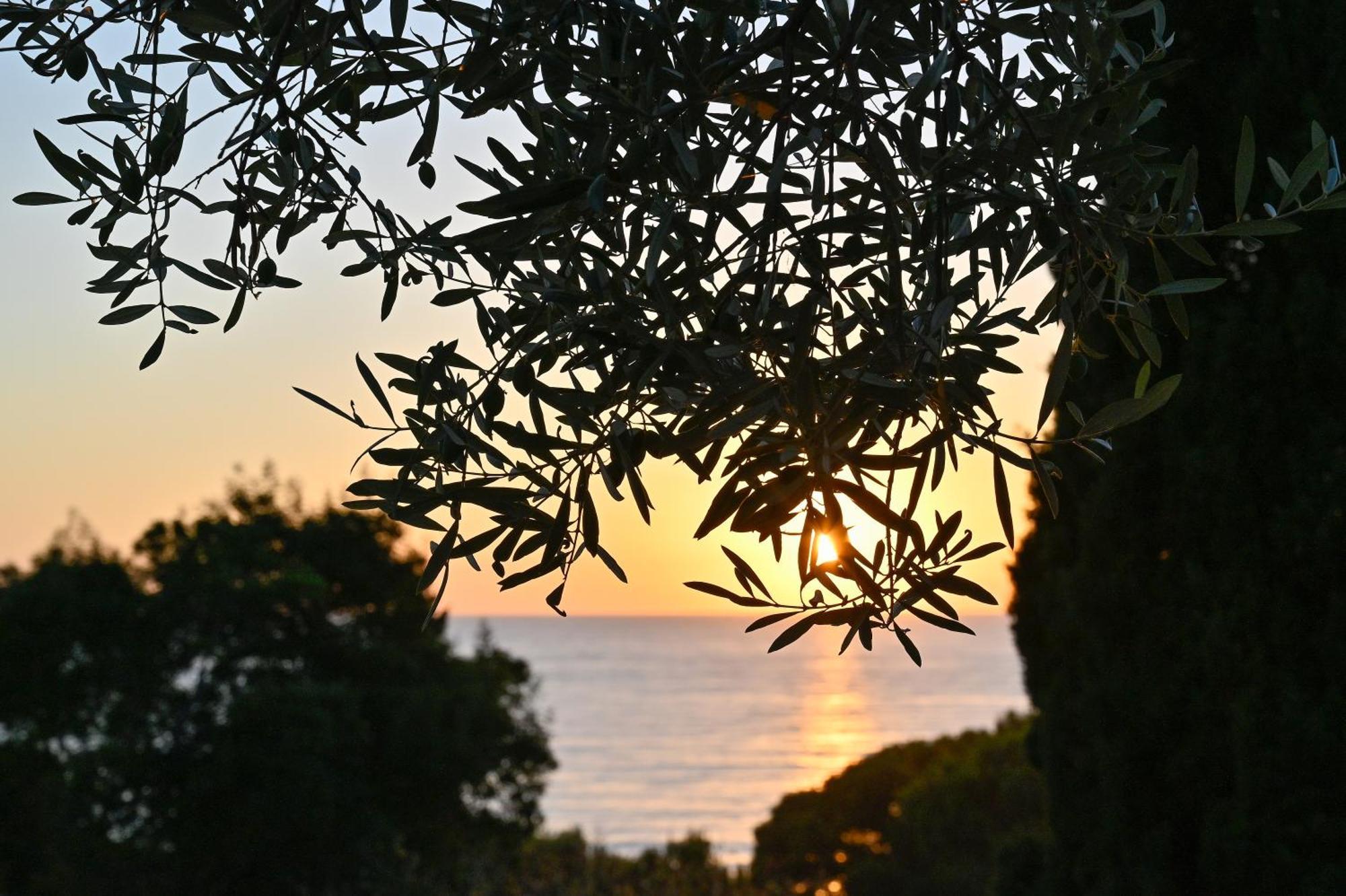 Albeca Boutique Hotel - Relais De Charme Sul Mare Castellabate Buitenkant foto