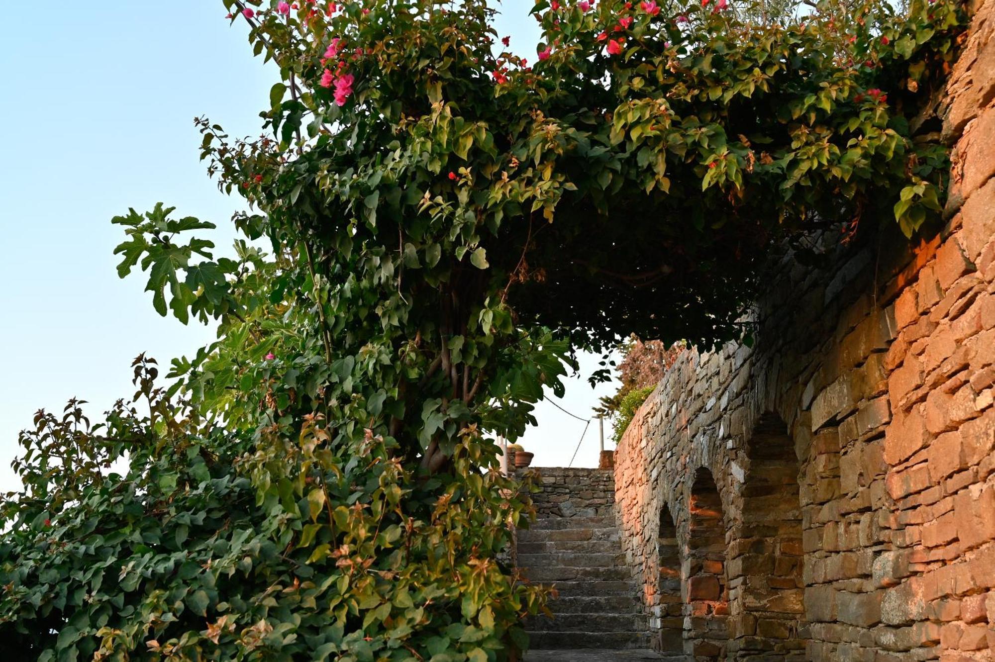 Albeca Boutique Hotel - Relais De Charme Sul Mare Castellabate Buitenkant foto